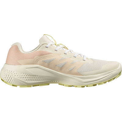 Salomon Dames Alphaglide Schoenen