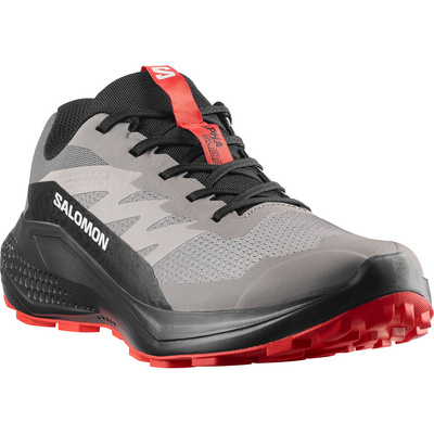 Salomon Heren Alphaglide Schoenen