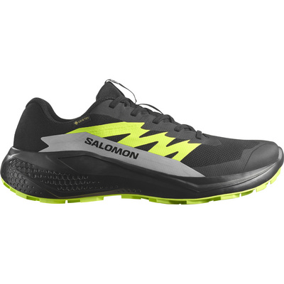 Salomon Heren Alphaglide GTX Schoenen