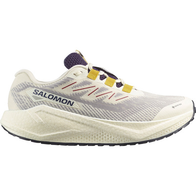Salomon Heren Aero Blaze 3 GRVL GTX Schoenen