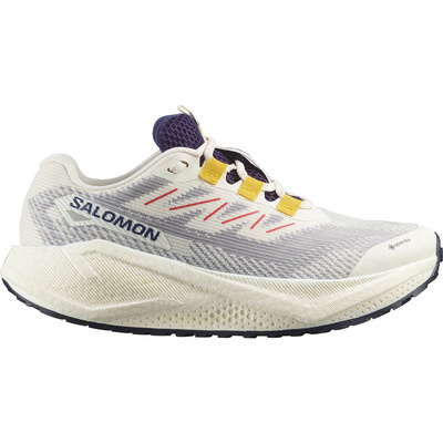 Salomon Dames Aero Blaze 3 GRVL GTX Schoenen