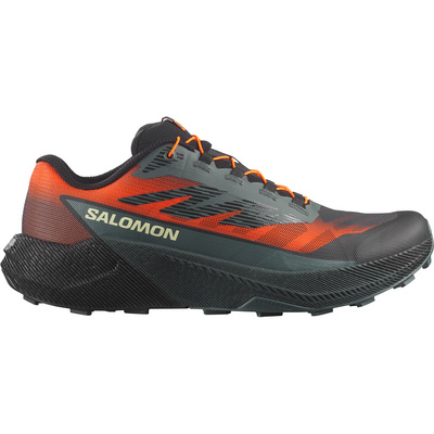 Salomon Heren Pulsar Schoenen