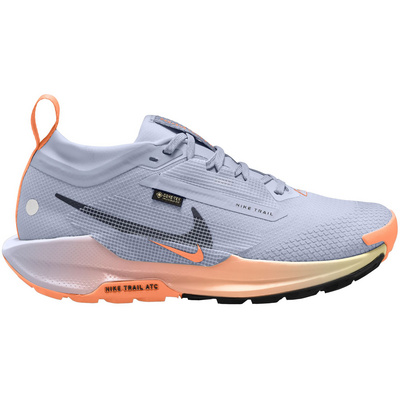 Nike Femme Chaussures Pegasus Trail 5 GTX (taille 40.5, Gris)