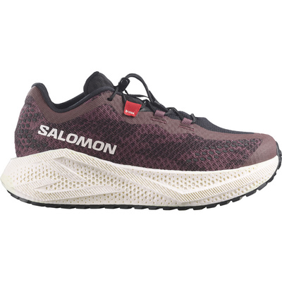 Salomon Dames Aero Glide 4 GRVL Schoenen