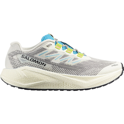 Salomon Heren Aero Blaze 3 GRVL Schoenen