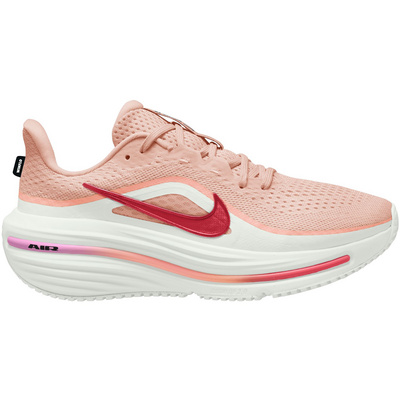 Nike Dames Air Winflo 12 Schoenen