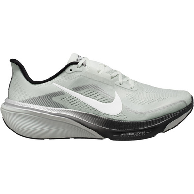 Nike Heren Air Zoom Pegasus 42 RR Schoenen