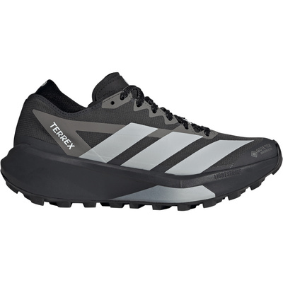 Adidas Terrex Dames Agravic GTX 2 Schoenen