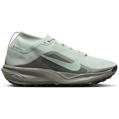 Nike ACG Heren Pegasus Trail GTX WP Schoenen