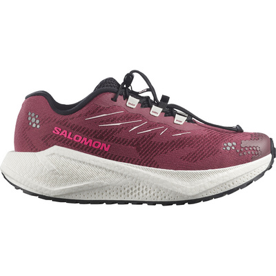Salomon Dames Aero Blaze 4 GRVL Schoenen