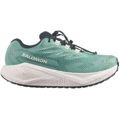 Salomon Dames Aero Blaze 4 GRVL GTX Schoenen