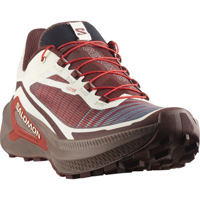 Salomon Heren Genesis 2 Schoenen