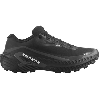 Salomon Heren Genesis 2 GTX Schoenen