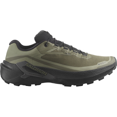 Salomon Heren Genesis 2 GTX Schoenen