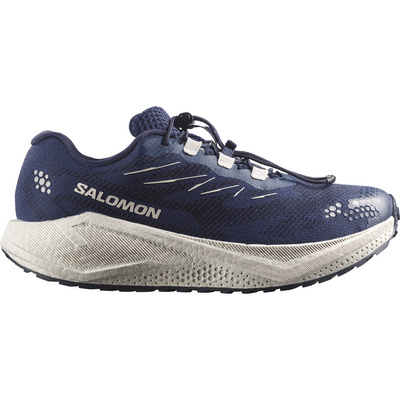 Salomon Heren Aero Blaze 4 GRVL GTX Schoenen