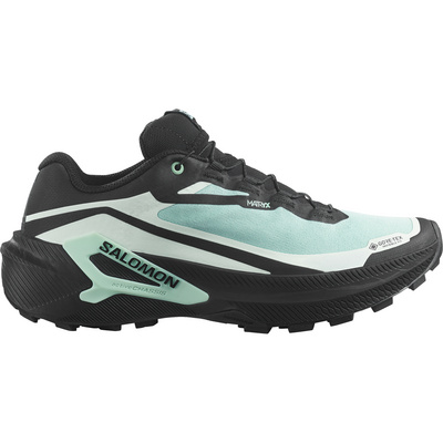 Salomon Dames Genesis 2 GTX Schoenen