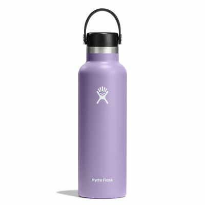 Hydro Flask 21 oz Standard Mouth 621 ml thermoskan (Maat ONE SIZE, Paars)