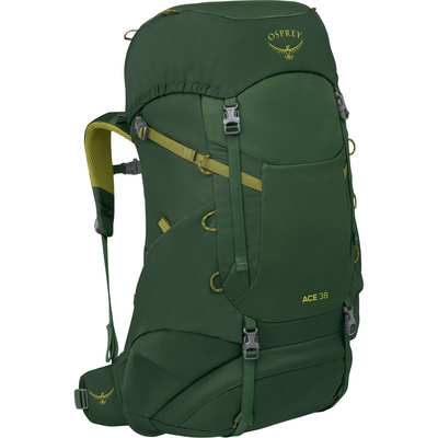 Osprey Kinderen Ace 38 rugzak (Maat 38L, Groen)