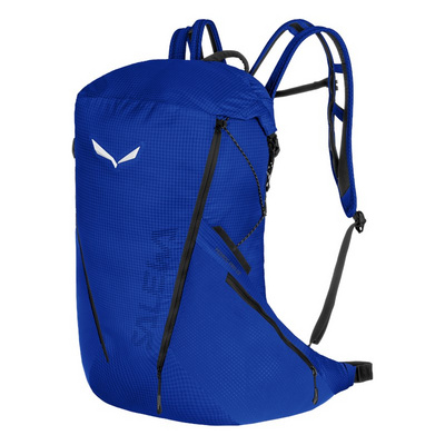 Salewa Heren Pedroc Pro 22L Rugzak (Maat 22L, Blauw)