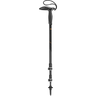 Leki Legend Series Stokken (Maat 90-120cm, Grijs)