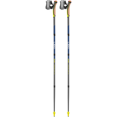 Leki Traveller FX.One Carbon Stokken (Maat 120CM, Grijs)