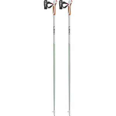 Leki Passion Stokken (Maat 110CM, Groen)