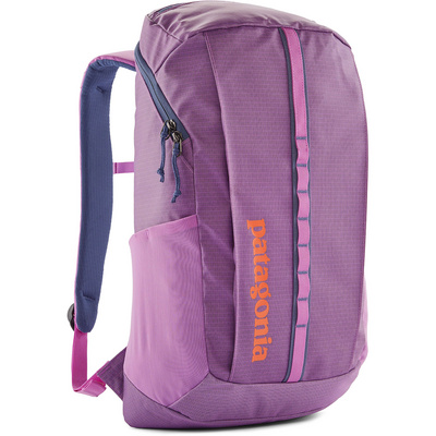 Patagonia Black Hole 25L Rugzak