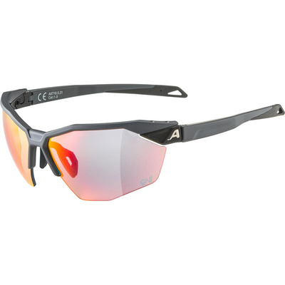 Alpina Twist Six HR QV 1-3 Sportbril