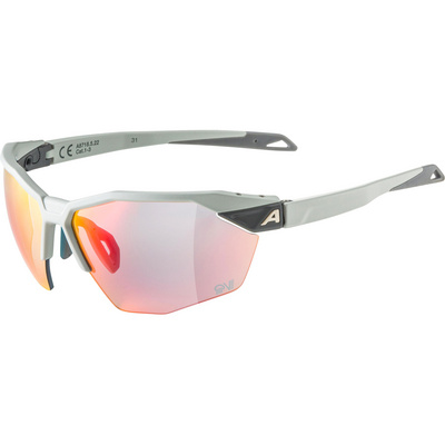 Alpina Lunettes de sport Twist Six HR QV 1-3 (taille One Size, Gris)
