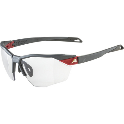 Alpina Lunettes de sport Twist Six S HR V 1-3 (taille One Size, Gris)