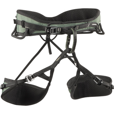 Wild Country Heren Session 2.0 Klimgordel (Maat 87-95CM, Groen)
