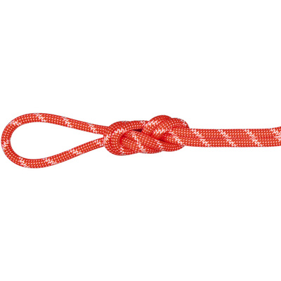Mammut 8.0 Alpine Classic Klimtouw (Maat 30m, Rood)
