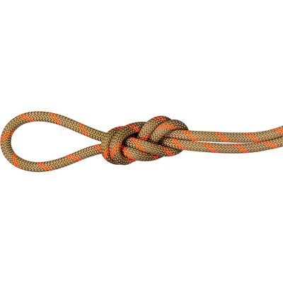 Mammut 8.0 Alpine Dry Klimtouw