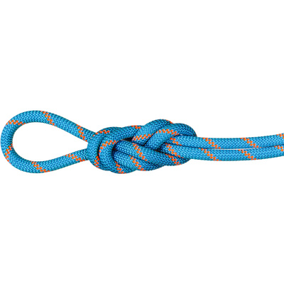 Mammut 8.7 Alpine Sender Dry Klimtouw (Maat 60M, Oranje)