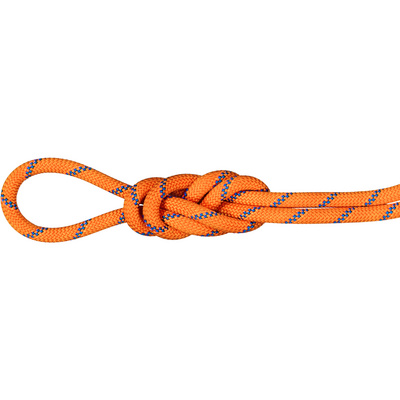 Mammut 9.0 Alpine Sender Dry Klimtouw (Maat 60M, Oranje)