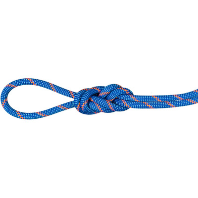 Mammut 7.5 Alpine Sender Dry Klimtouw (Maat 70M, Blauw)
