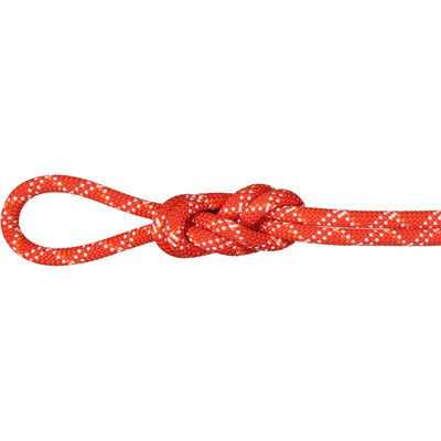 Mammut 9.5 Gym Classic Klimtouw