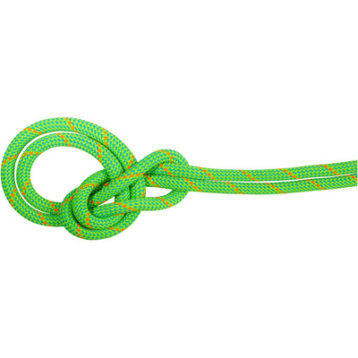 Mammut Corde d'escalade 9.5 Crag Eco Dry (taille 50M, Vert)