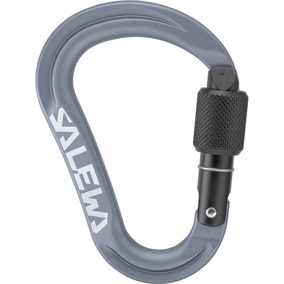 Salewa Ortles HMS S Karabiner (Maat One Size, Grijs)