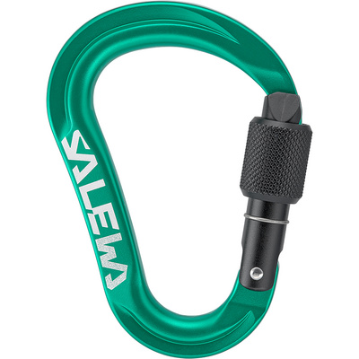 Salewa Ortles HMS S Karabiner (Maat One Size, Groen)