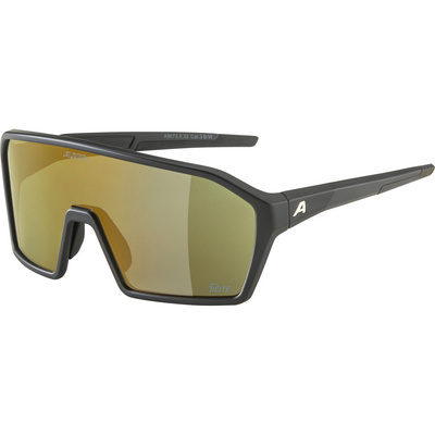 Alpina RAM Q-Lite Sportbril (Maat ONE SIZE, Zwart)