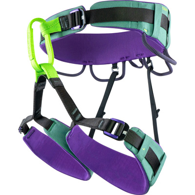 Beal Trinity Klimgordel (Maat 91-101CM, Groen)
