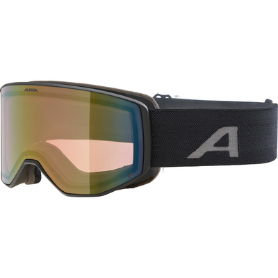 Alpina Venet Q Skibril