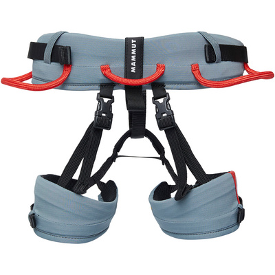 Mammut Kinderen Ophir 2.0 Klimgordel