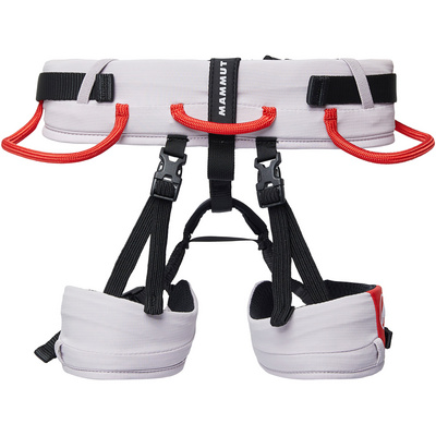 Mammut Kinderen Ophir 2.0 Klimgordel