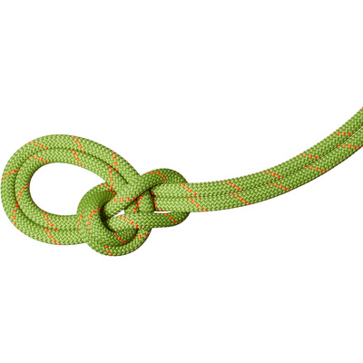 Mammut 9.8 Crag Recycled Classic 70m Klimtouw (Maat 70M, Groen)