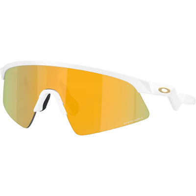 Oakley Resistor Sweep Sportbril