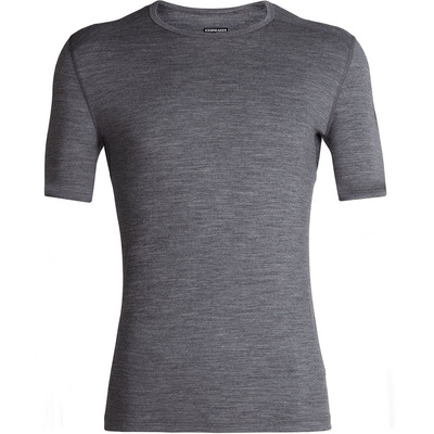 Icebreaker Heren 200 Oasis T-shirt (Maat XXL, Grijs)