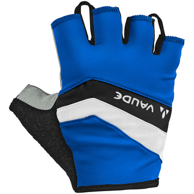 Vaude Heren Active handschoenen (Maat M, Blauw)