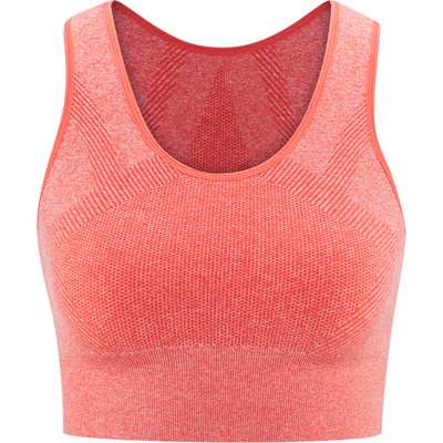 Red Chili Dames Waki Seamless top